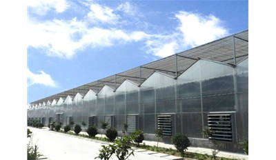 溫室大棚設(shè)施農(nóng)業(yè)發(fā)展趨勢、方向